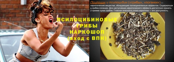 a pvp Абаза