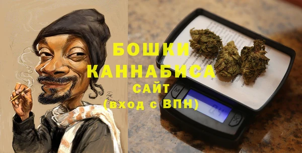 МДПВ Семилуки