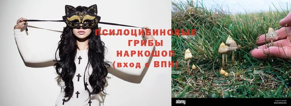 СК Абинск