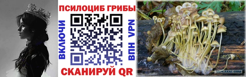 Галлюциногенные грибы GOLDEN TEACHER kraken ССЫЛКА Абаза