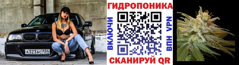 купить наркотики цена  Абаза  Канабис Bruce Banner 